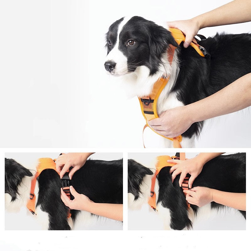 No Pull Adjustable Dog Harness and Leash PupFelicity